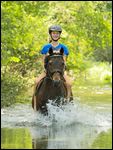 12-jährige Reiterin auf Deutschem Reitpony reitet ohne Sattel in einem Bach 