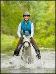 Junge Reiterin auf Deutschem Reitpony reitet in einem kleinen Fluss 