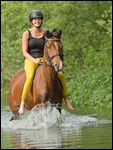 Frau reitet ohne Sattel auf Pony in einem Bach