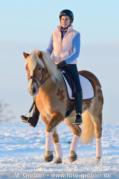 Reiterin auf Haflinger bei Winterausritt im Abendlicht 