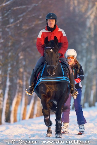 Skijöring im Abendlicht 