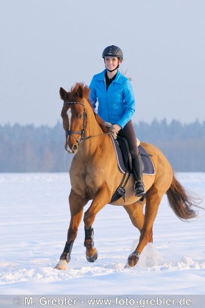 Jugendliche Reiterin auf Trakehner galoppiert im Schnee 