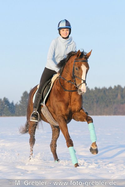 Jugendliche Reiterin auf Galopper Vollblutstute beim Galopp im Schnee 