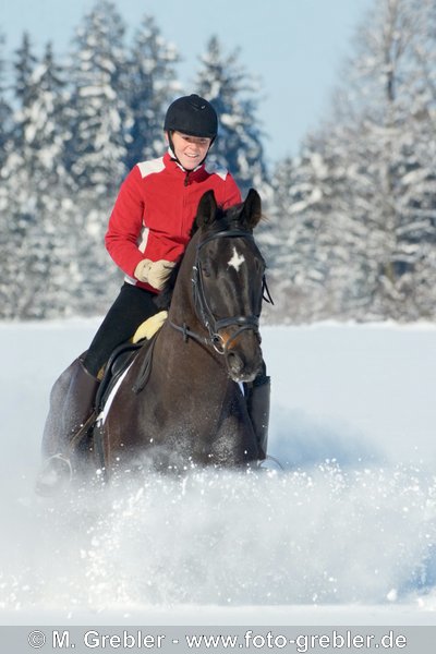 Reiterin beim Galopp auf Bayerischem Warmblut durch tiefen Schnee in Südbayern 