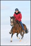 Reiterin im Galopp bei einem Winterausritt auf einer Paso Fino Stute 