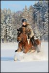 Reiterin galoppiert auf Isländer im Tiefschnee 