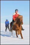 SkijÃ¶ring mit Islandpferd 