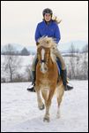 Reiterin auf Haflinger galoppiert im Schnee (Im Hintergrund die Alpen) 