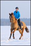 Jugendliche Reiterin auf Trakehner galoppiert im Schnee 