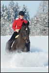 Reiterin beim Galopp auf Bayerischem Warmblut durch tiefen Schnee in Südbayern 