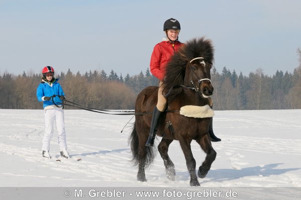 Jugendliche beim Skijöring mit Isländer, Reiterin ohne Sattel 