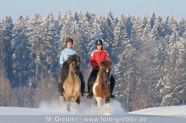 Zwei Junge Reiterinnen auf Isländern beim Galopp im Schnee 