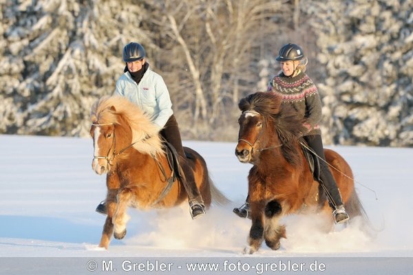 Zwei junge Reiterinnen auf Islandpferden galoppieren durch Tiefschnee im Abendlicht 