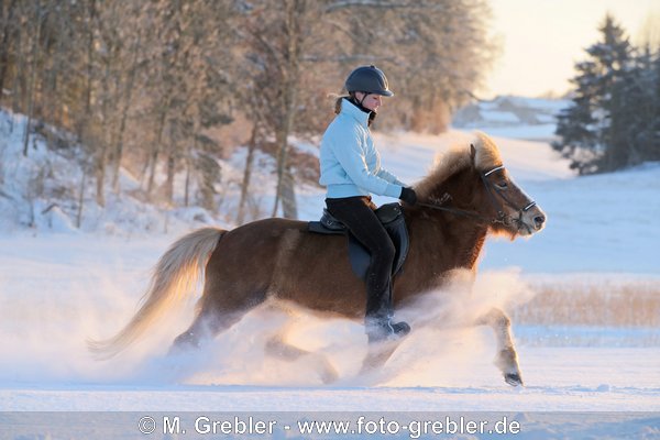 Junge Reiterin auf Islandpferd im Rennpass bei Tiefschnee kurz vor Sonnenuntergang  