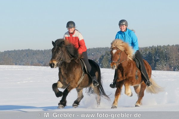 Zwei junge Reiterinnen galoppieren auf Islandpferden im Schnee 