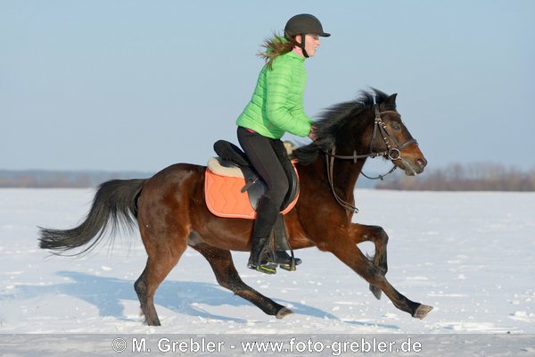 Junge Reiterin auf Reitpony galoppiert im Schnee 