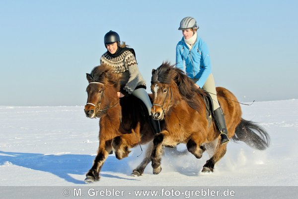 Zwei Reiterinnen auf Islandpferden galoppieren durch Tiefschnee 