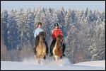 Zwei Junge Reiterinnen auf Isländern beim Galopp im Schnee 