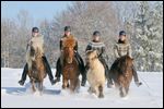 Gruppe von vier jungen Reiterinnen auf Islandpferden bei einem Winterausritt 
