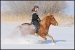 Jugenliche Reiterin auf Islandpferd beim Galopp durch Tiefschnee 