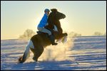 Junge Reiterin auf steigendem Islandpferd bei Sonnenuntergang im Gegenlicht 