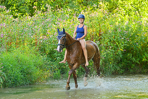 Pferdebilder Pferdefotografie Reiten Wasser