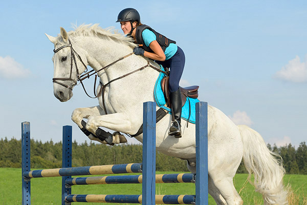 Pferdebilder Pferdefotografie Reiten Wasser