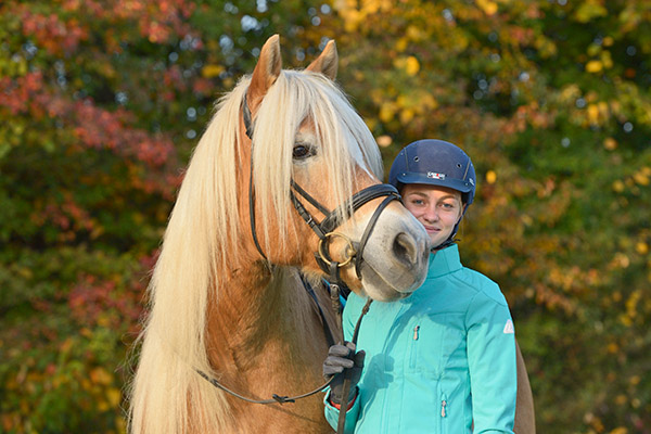 Pferdebilder Pferdefotografie