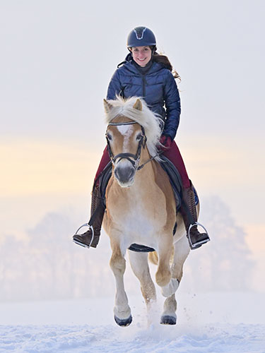 Pferdebilder Pferdefotografie