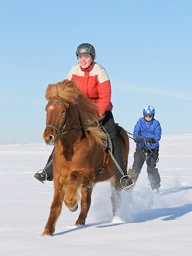 Hundebilder Hundefotografie